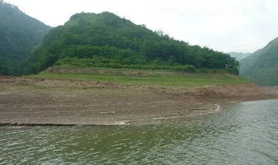 鳙鱼怎么钓_钓鳙鱼的技巧_豆渣钓鲢鳙鱼怎么发酵