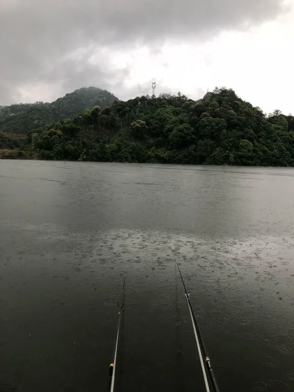 海竿爆炸钩水库钓鱼技巧_10月水库钓鱼技巧_南方冬天水库钓鱼技巧