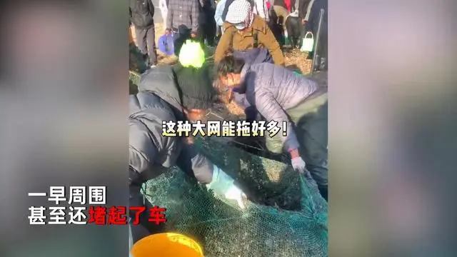 北京到蓟县24小时拼车_女子驱车3小时连夜到烟台捞海肠_从泉州到福鼎车要几小时